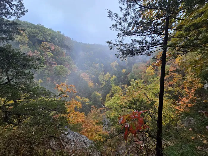 Group Camp Entrance, Stony Brook 2