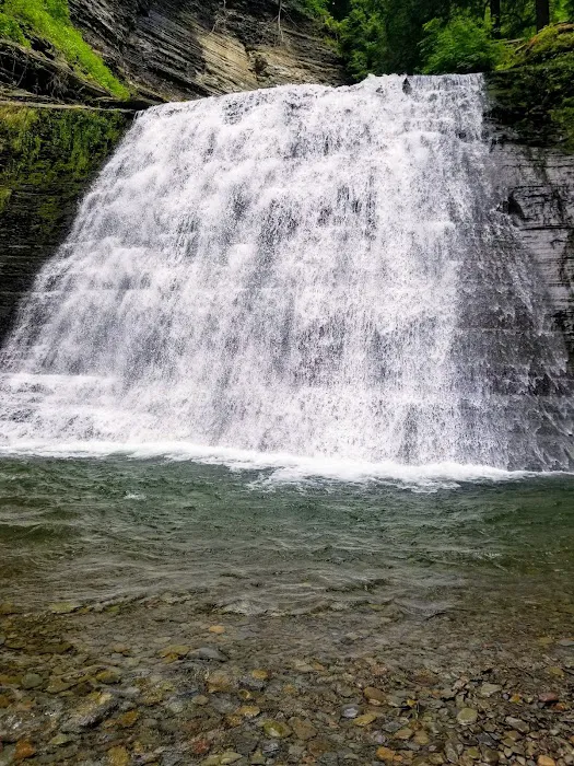 Stony Brook State Park Campground 7
