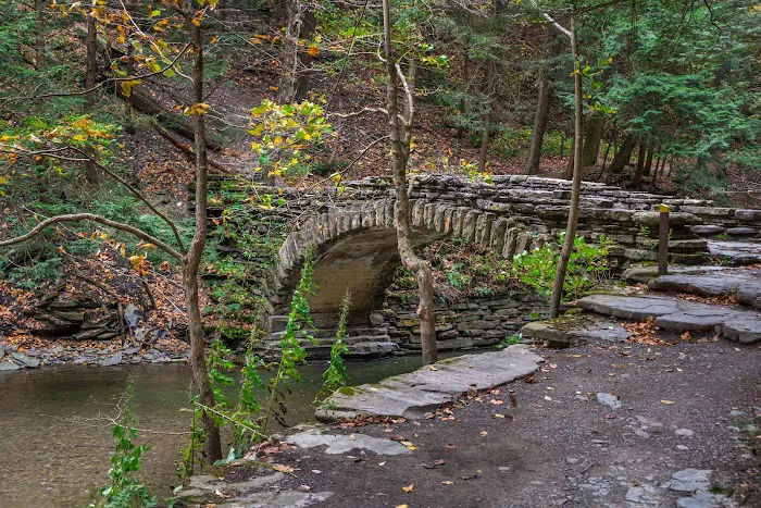 Stony Brook State Park Campground 8
