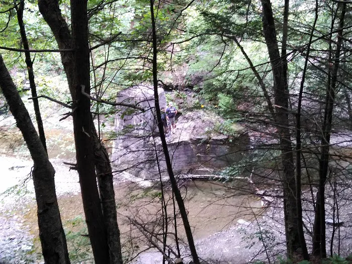 Stony Brook State Park Campground 2