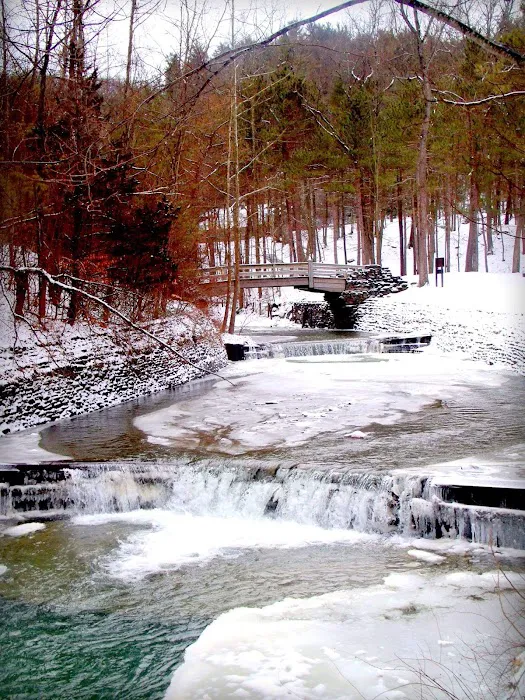 Stony Brook State Park Campground 4