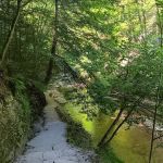 Stony Brook State Park Campground
