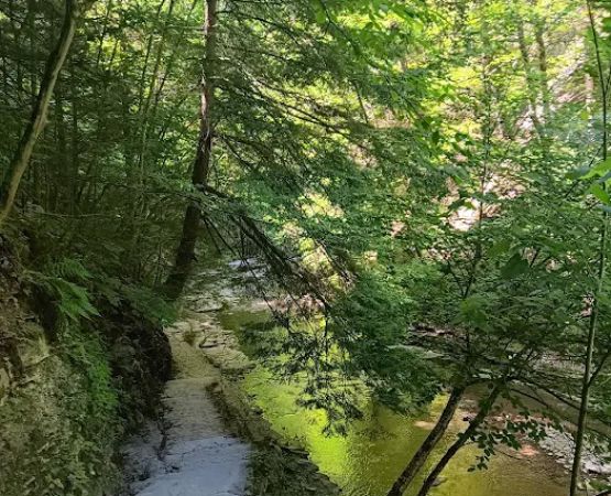 Stony Brook State Park Campground