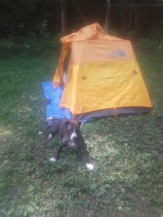 CCC Camp Seneca 8
