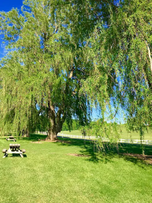 Nor Win Campgrounds & Fruit Farm Inc. 8