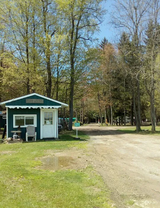 Piney Woods Campsites 6