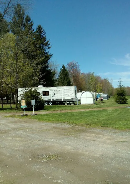 Piney Woods Campsites 4