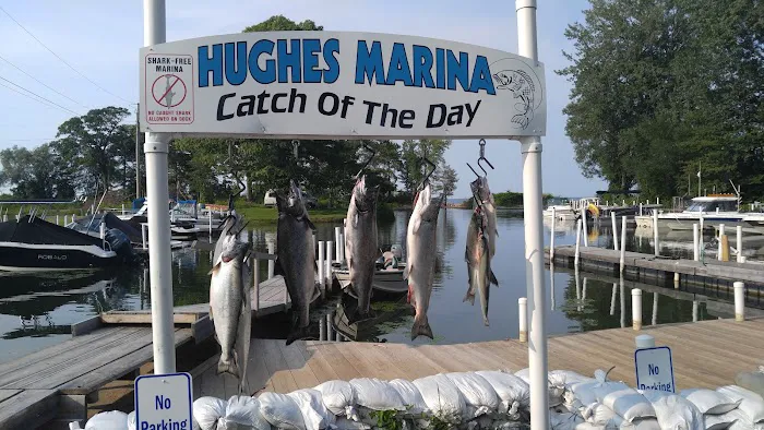 Hughes Marina & Campground 6