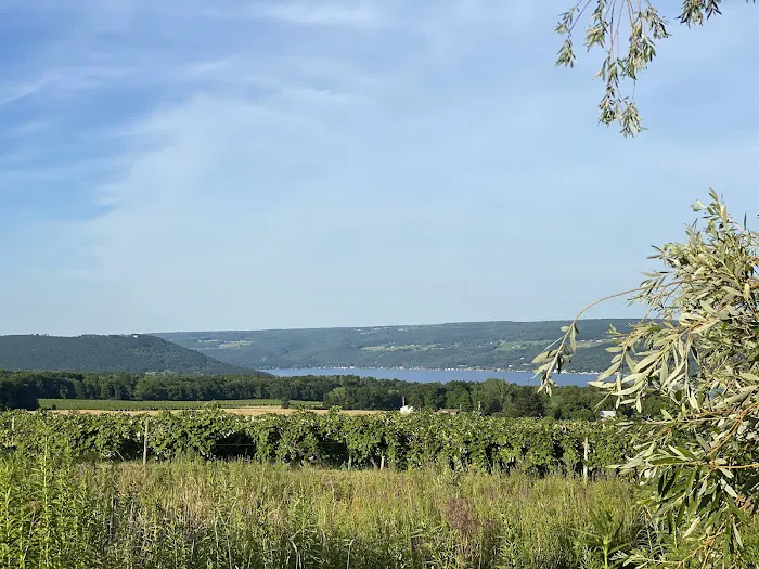 QKA View Campsites 5