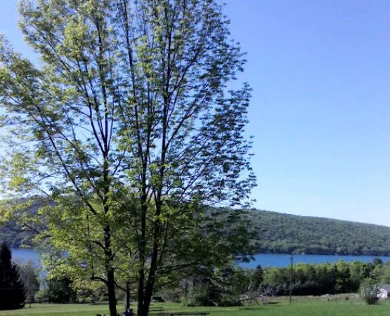 Lakeview Camp Sites