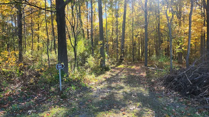 Lakeview Camp Sites 4