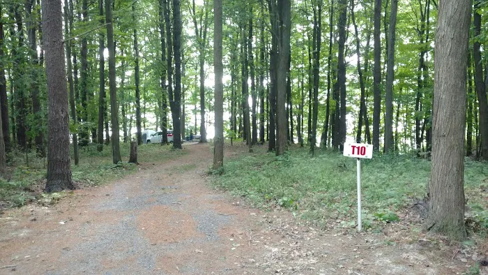 Back-Achers Campsite 6