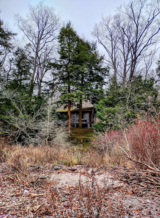 Campground 9