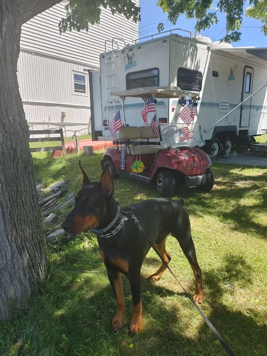 White Birch Campground 2