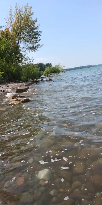 White Birch Campground 0