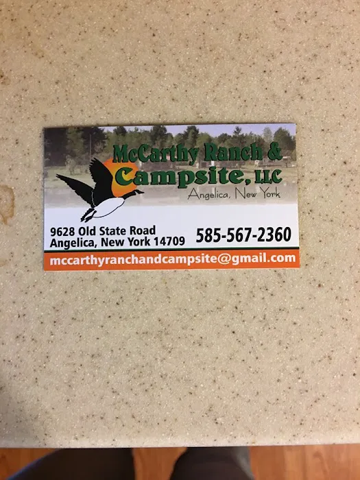 McCarthy's Ranch and Campsite, LLC 1