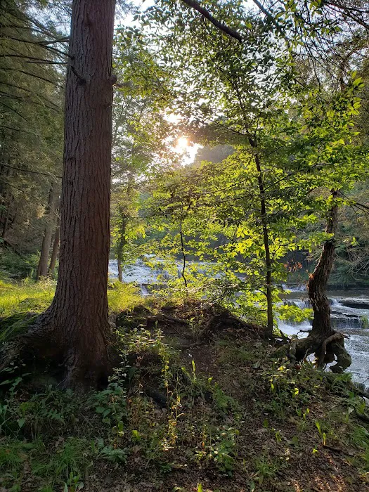 Sun Valley Campsites 0