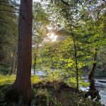 Sun Valley Campsites