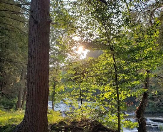 Sun Valley Campsites