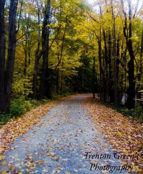 Lake Demmon Campground 7