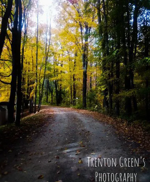 Lake Demmon Campground 4
