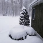 Allegheny Site Management