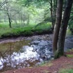 Kelly Pines Equestrian Campground