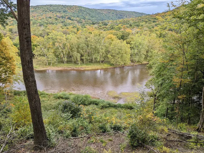 Kellettville Recreation Area Campground 5
