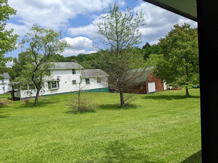 Kellettville Recreation Area Campground 9