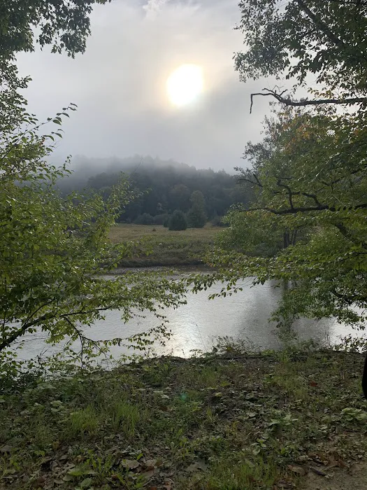 Kellettville Recreation Area Campground 6