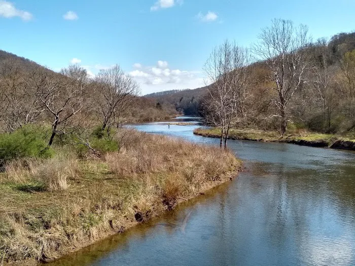 Kellettville Recreation Area Campground 8