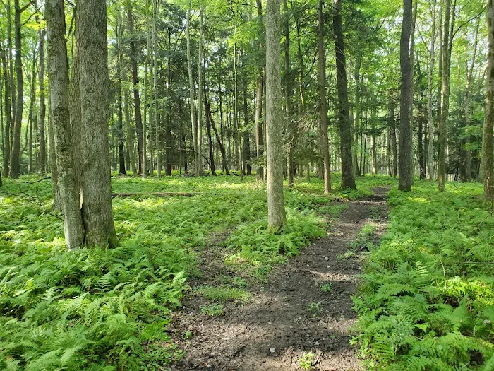 Hickory Creek Wilderness Ranch 6