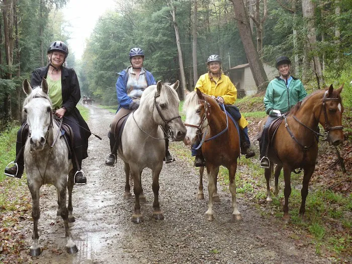 Hickory Creek Wilderness Ranch 1