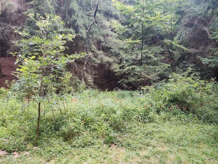 Loleta Recreation Area 5
