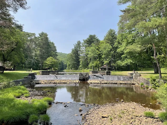 Loleta Recreation Area 4