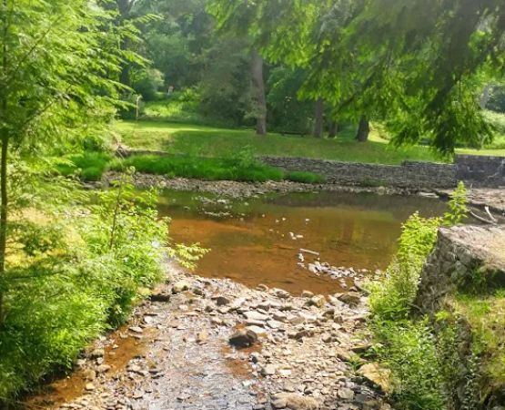 Loleta Recreation Area