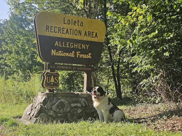 Loleta Recreation Area 7