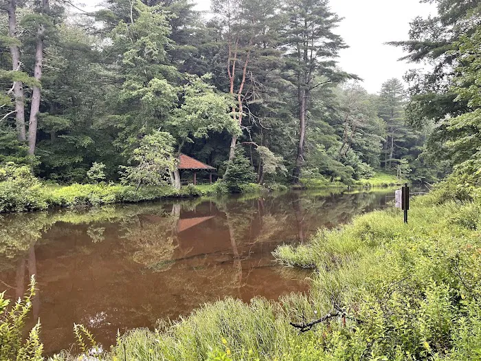 Loleta Recreation Area 1
