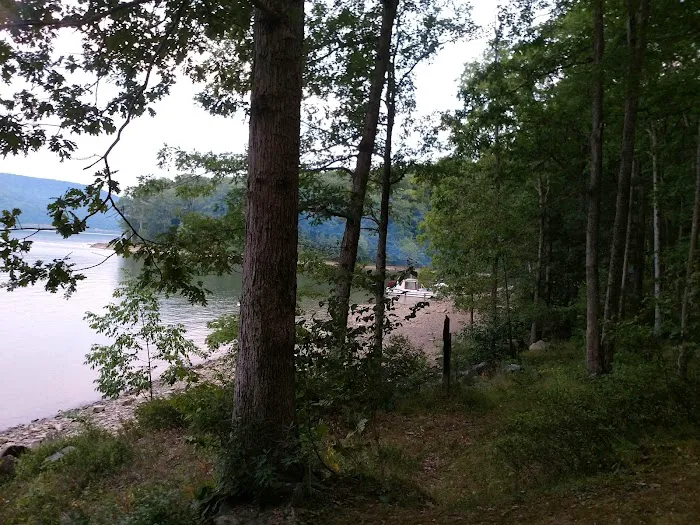 Hooks Brook Campground 7
