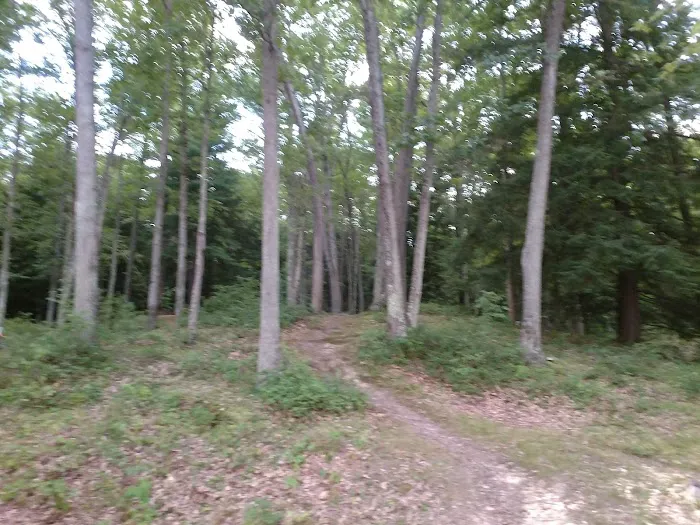 Hooks Brook Campground 1