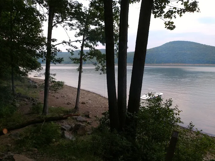 Hooks Brook Campground 2