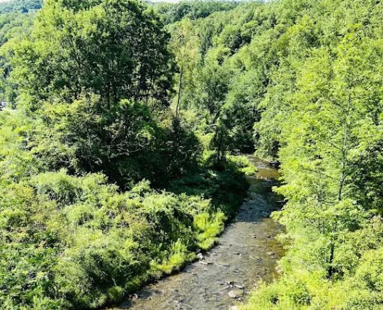 Willow Bay Campground