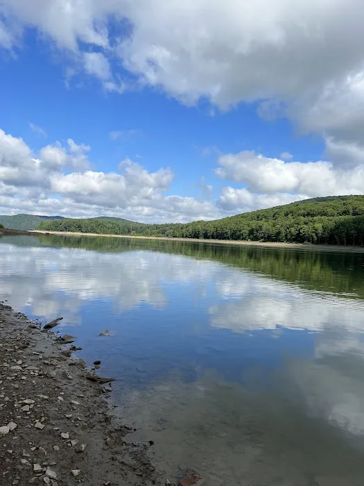 Allegheny National Forest - Camping & Cabins 1