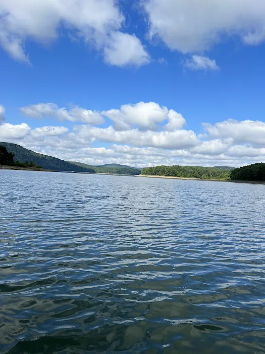 Allegheny National Forest - Camping & Cabins 4