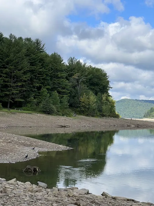 Allegheny National Forest - Camping & Cabins 9
