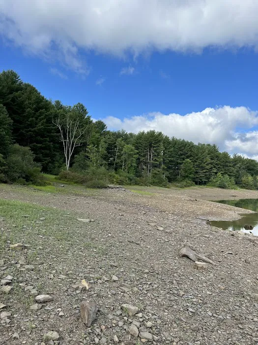 Allegheny National Forest - Camping & Cabins 8