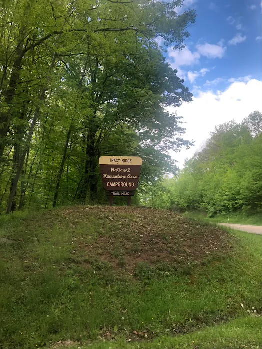 Tracy Ridge Campground 2