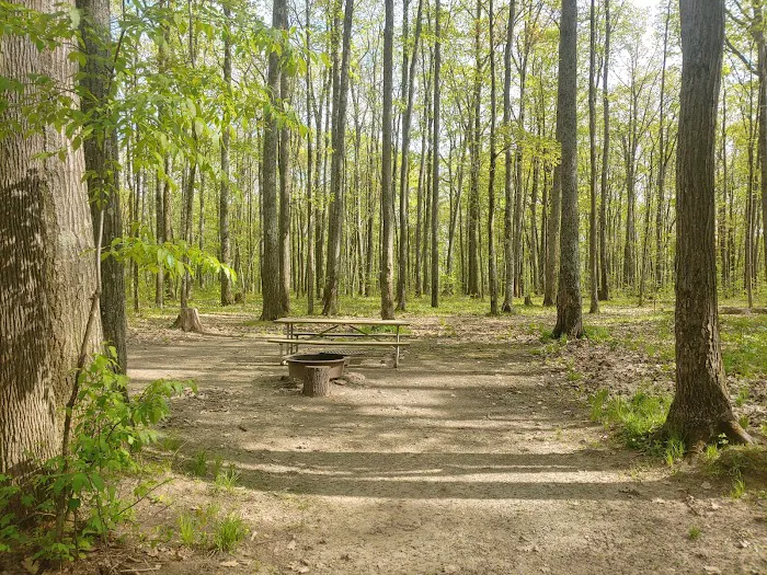 Tracy Ridge Campground 8