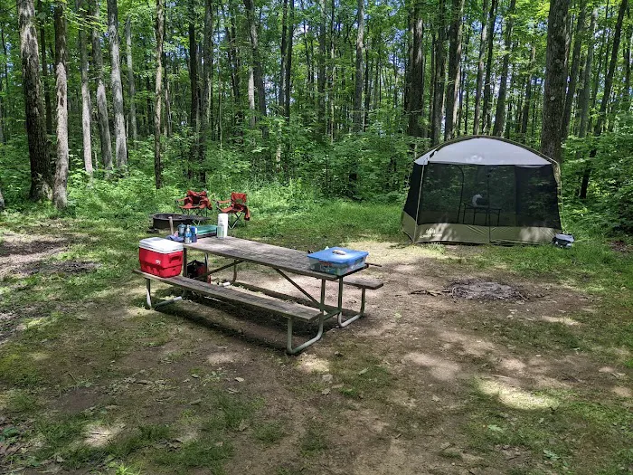 Tracy Ridge Campground 4