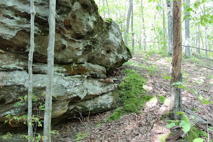 Tracy Ridge Campground 3